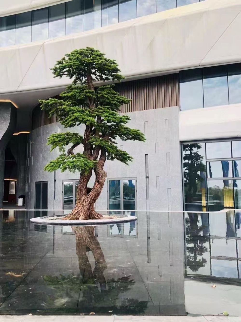 Cloud-pruned artificial pine bonsai