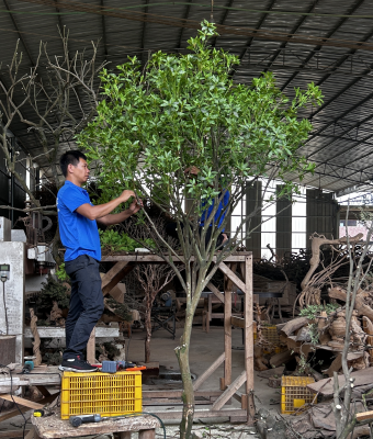 TaoYuan factory workshop